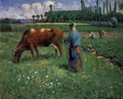 卡米耶 毕沙罗 : Girl Tending a Cow in a Pasture